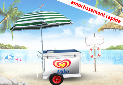 D&eacute;couvrez nos solutions ambulante sur mesure, toujours &agrave; petit prix